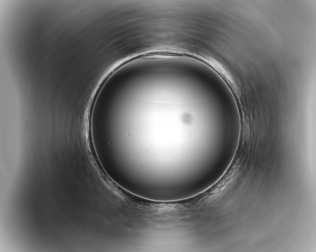 X0000094320862200711021350