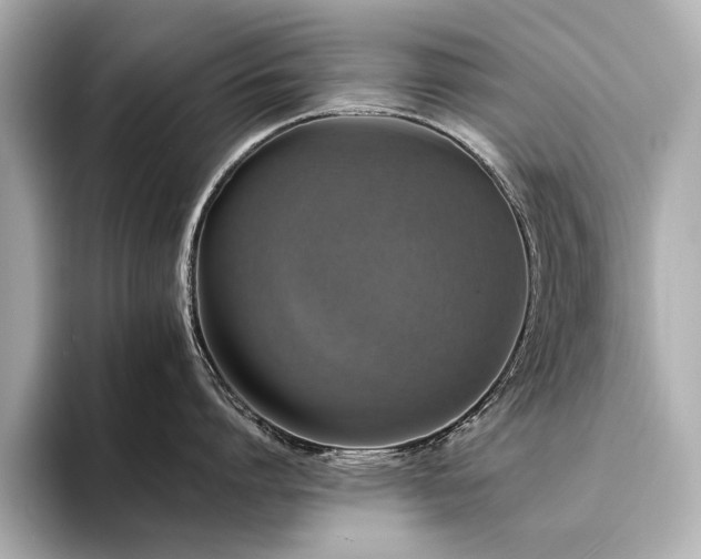 X0000094320864200711021350