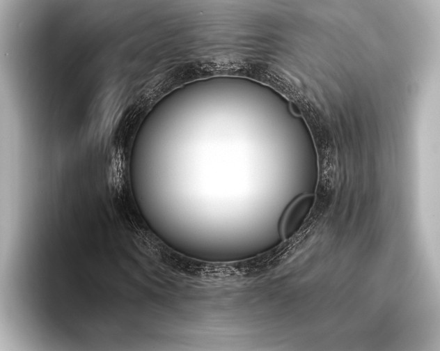 X0000094320866200711021350