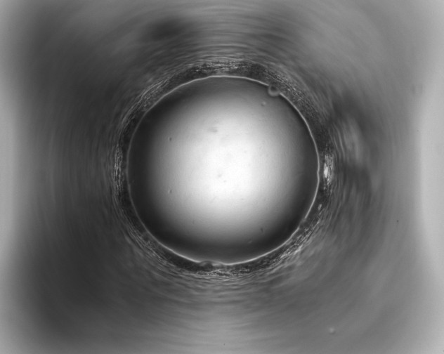X0000094320867200711021350
