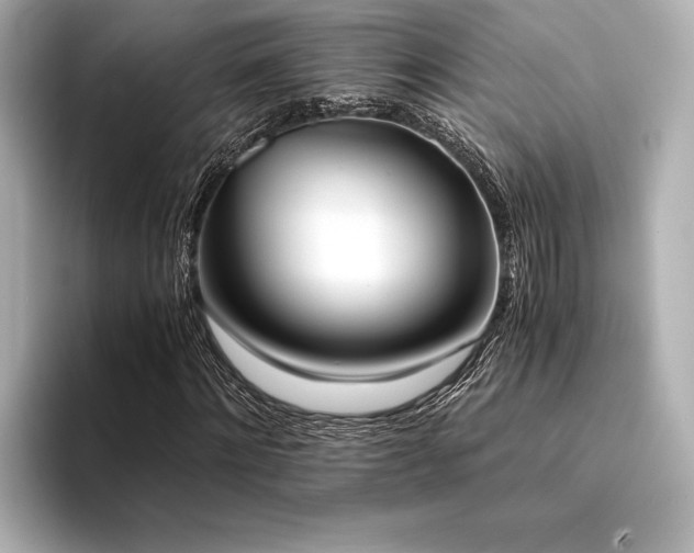 X0000094320868200711021350