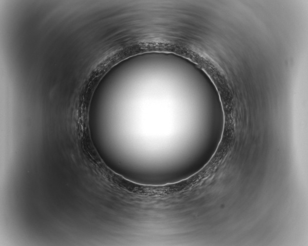 X0000094320870200711021350