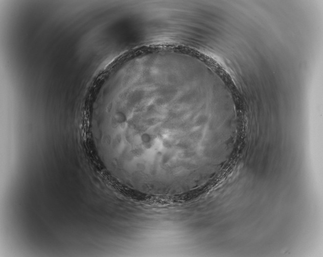 X0000094320871200711021350