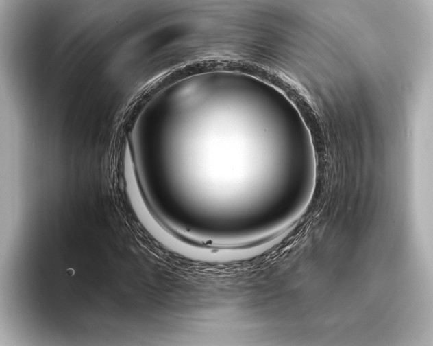 X0000094320872200711021350