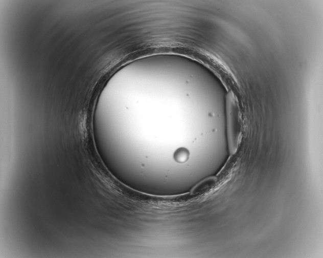 X0000094320873200711021350