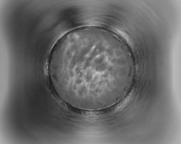 X0000094320875200711021350