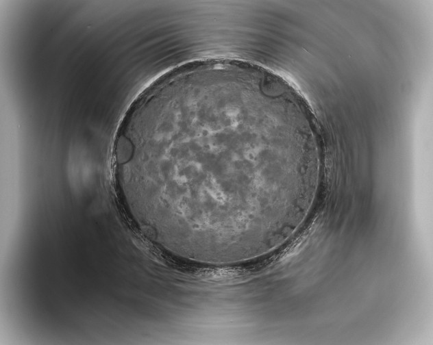X0000094320879200711021350
