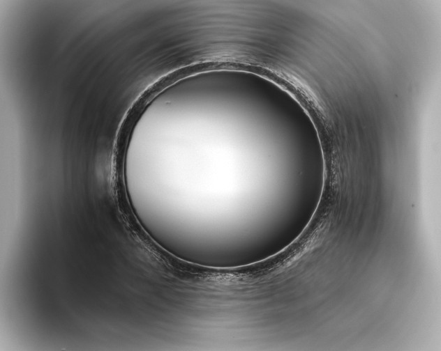 X0000094320880200711021350