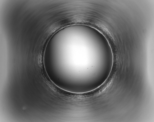 X0000094320881200711021350
