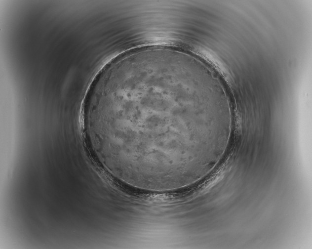 X0000094320883200711021350