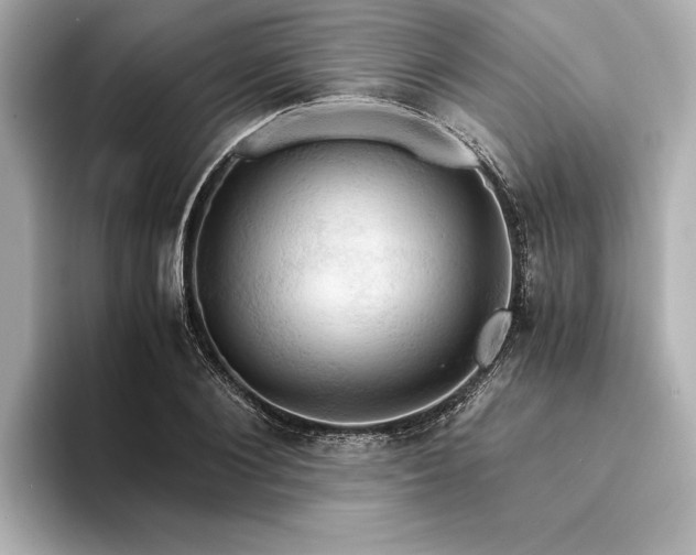X0000094320884200711021350