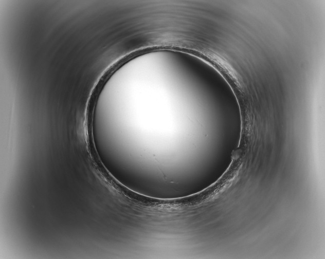 X0000094320888200711021350