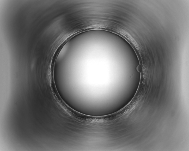 X0000094320890200711021350