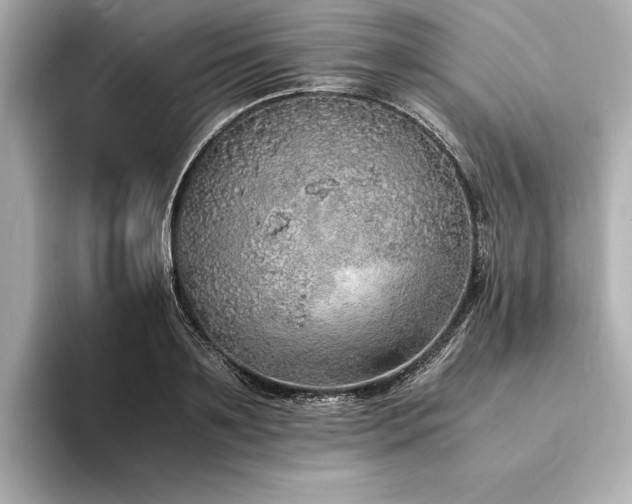 X0000094320891200711021349