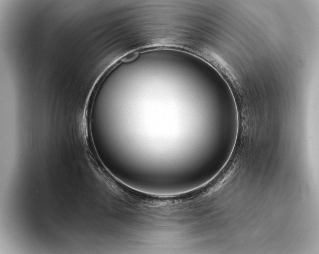 X0000094320892200711021349