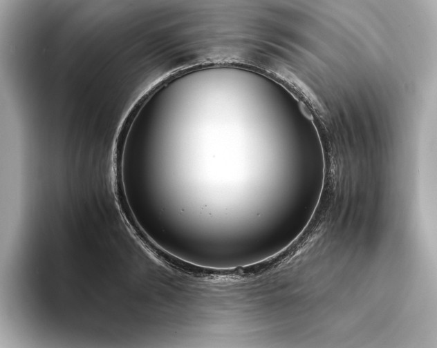 X0000094320894200711021349