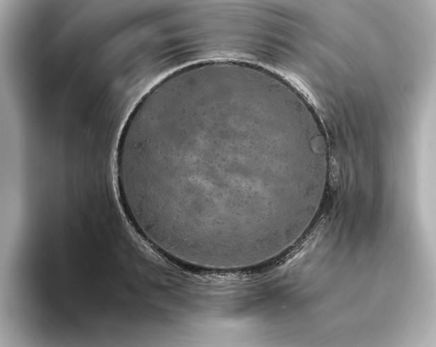 X0000094320895200711021349