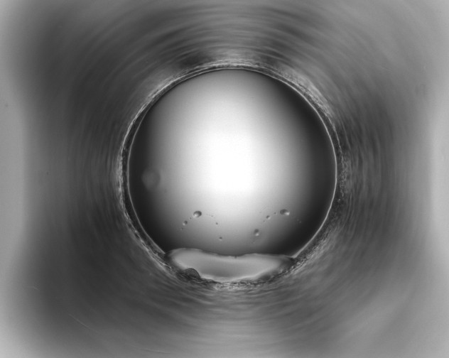 X0000094320898200711021349