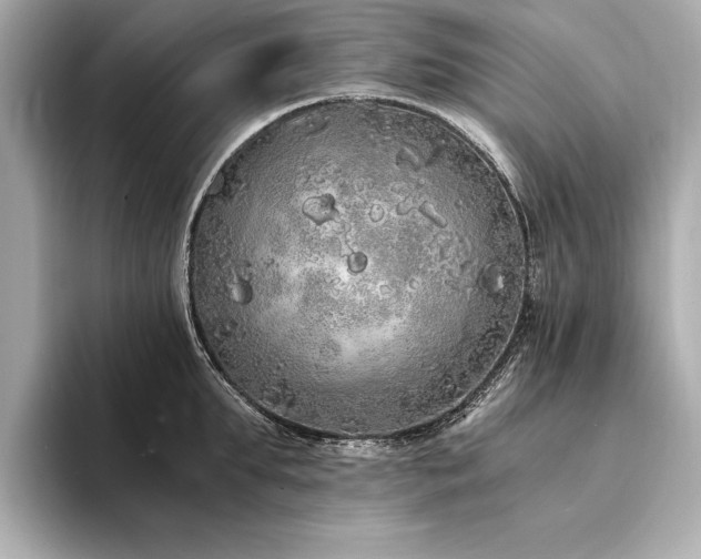 X0000094320903200711021349