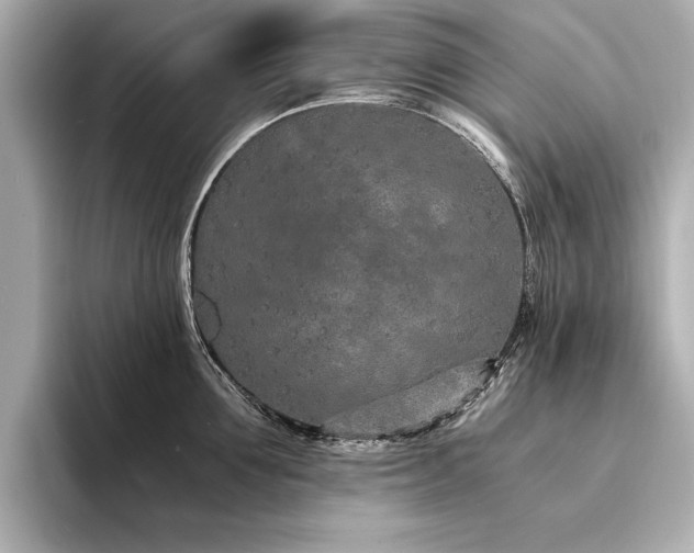 X0000094320907200711021349