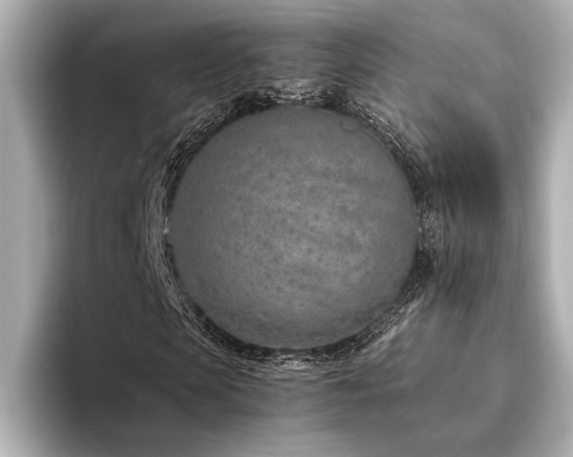 X0000094320913200711021349