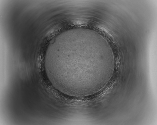 X0000094320917200711021349