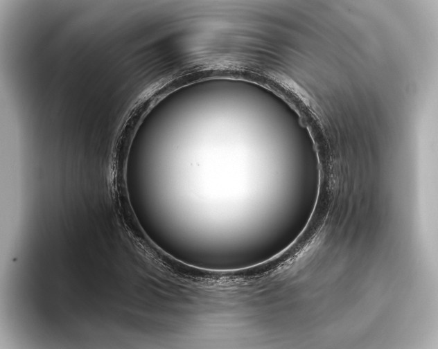 X0000094320922200711021349