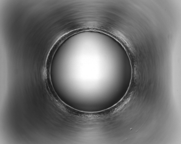 X0000094320924200711021349