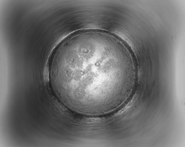 X0000094320925200711021349