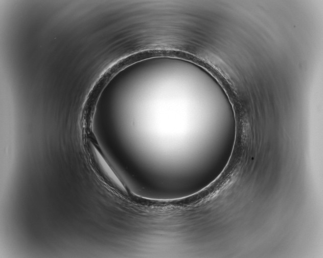 X0000094320926200711021349