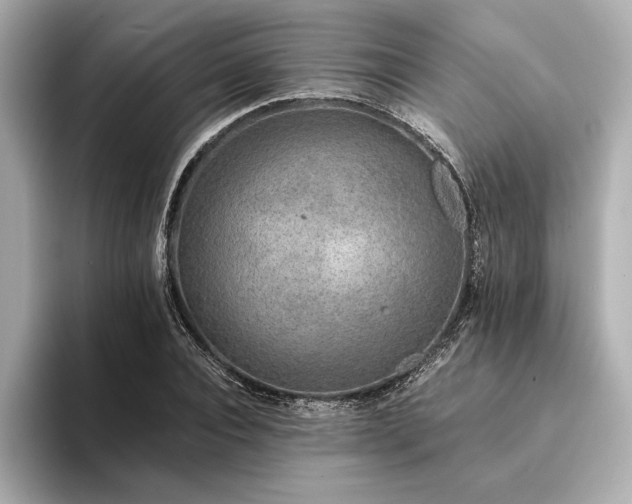 X0000094320928200711021349