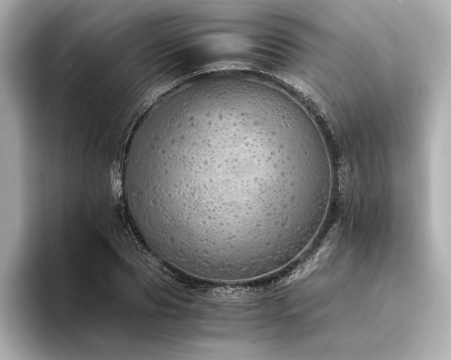 X0000094320929200711021349