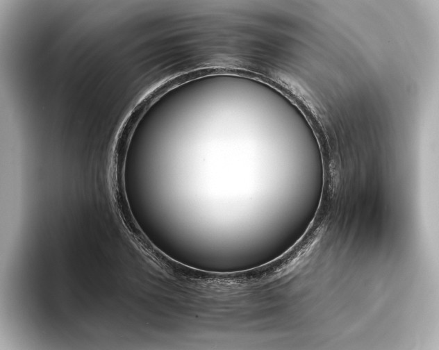 X0000094320931200711021349