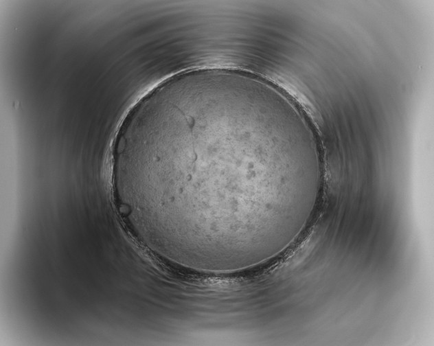 X0000094320933200711021349