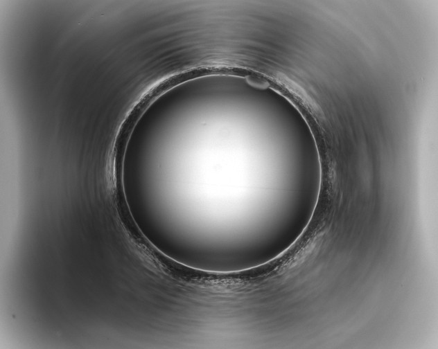 X0000094320934200711021349