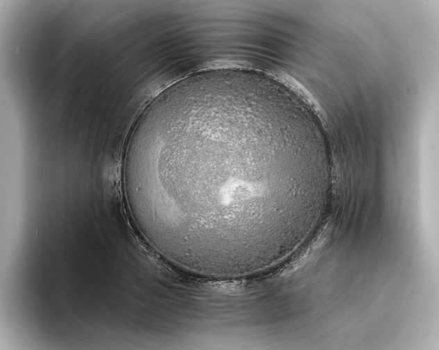 X0000094320937200711021349