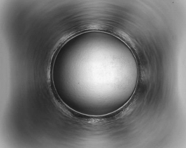 X0000094320938200711021349