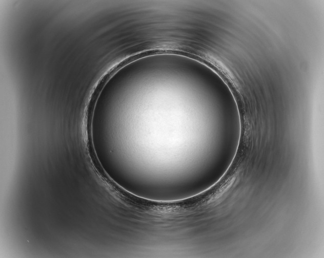 X0000094320939200711021349