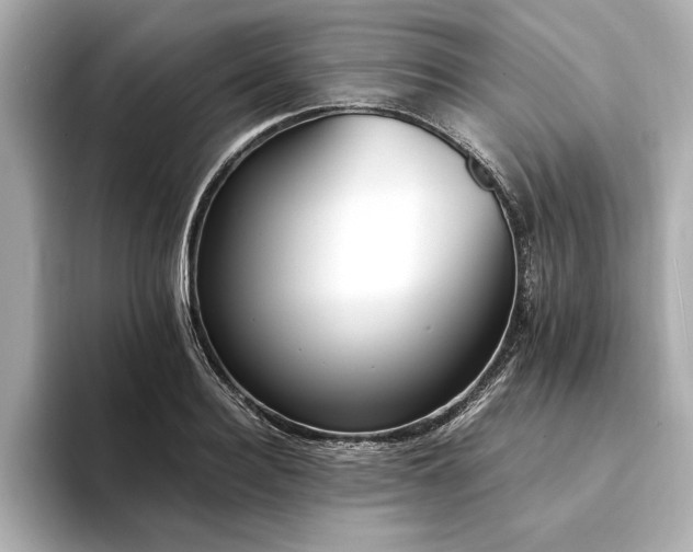 X0000094320940200711021349