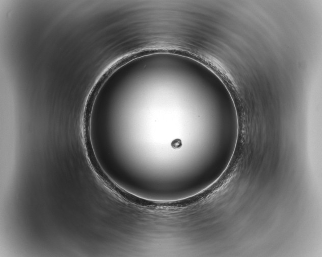 X0000094320942200711021349