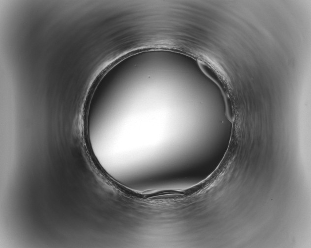 X0000094320944200711021349