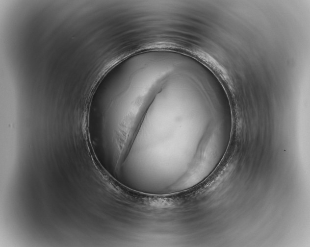 X0000094320945200711021349