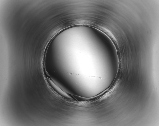 X0000094320946200711021349