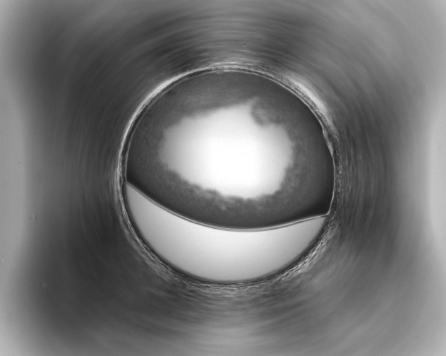 X0000094320948200711021349