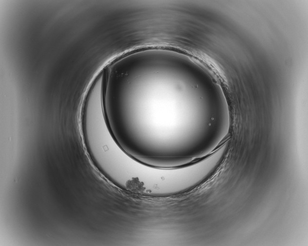 X0000094320950200711021349