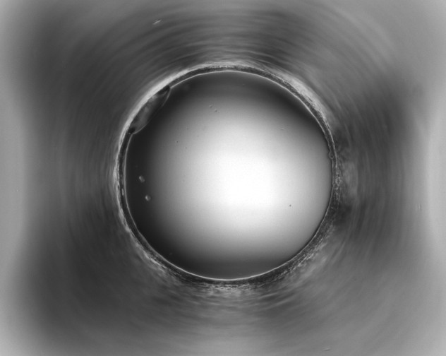 X0000094320951200711021349