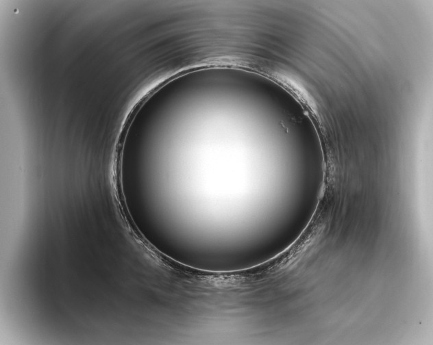 X0000094320952200711021349
