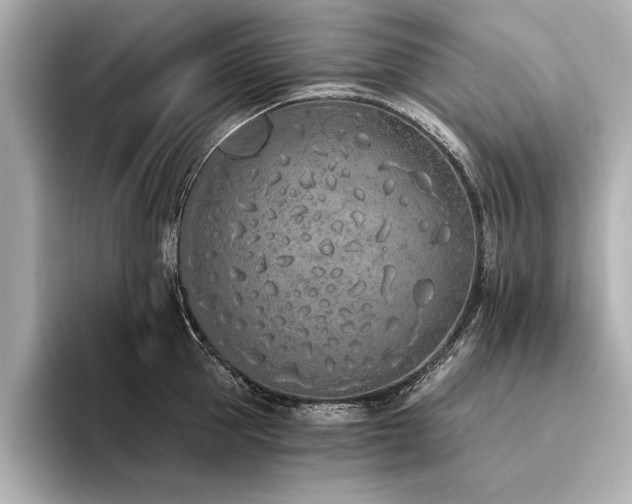 X0000094320953200711021349