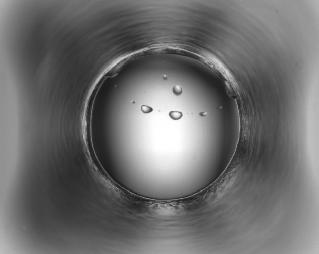 X0000094320955200711021349