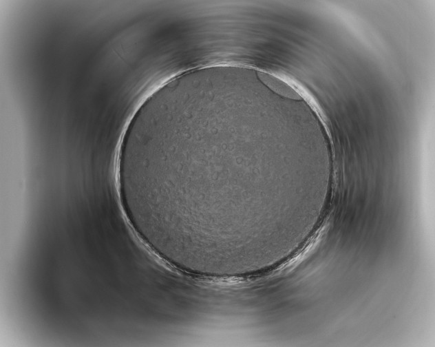 X0000094320957200711021349